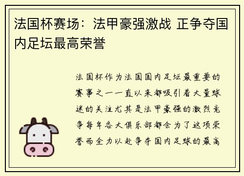 法国杯赛场：法甲豪强激战 正争夺国内足坛最高荣誉